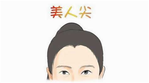 美人尖面相|美人尖面相学图解